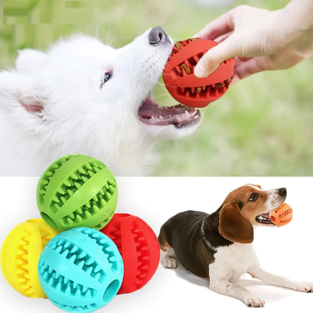 Dog Chew Toy